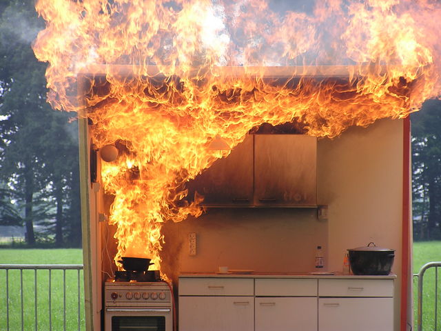 Vlam in de pan demo.jpg